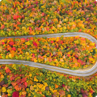 Watercolor of New Hampshire Highway