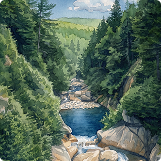 Watercolor of New Hampshire stream